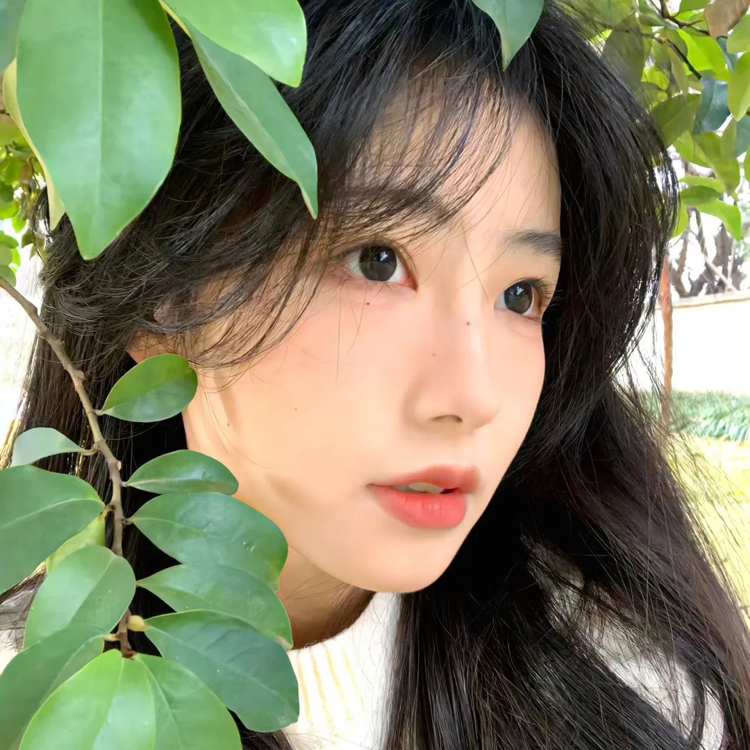 凤冠情事